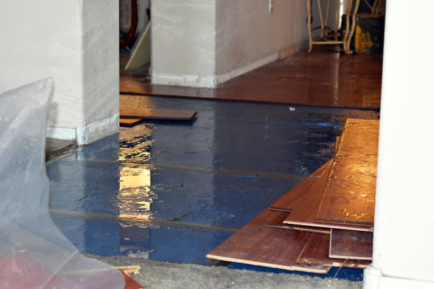 Professional Burst Pipe Cleanup technician working in Blum, TX
